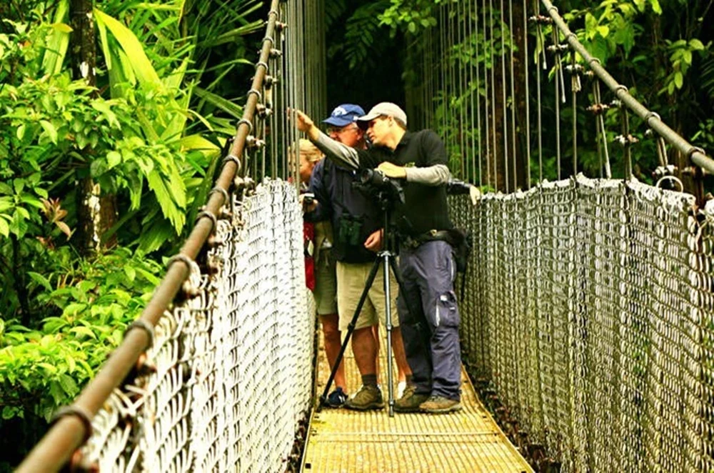 Eagle Tours Costa Rica