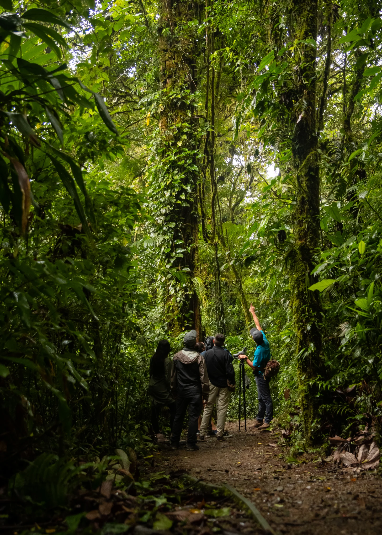 Monteverde Biological Cloud Forest Reserve Guided Tour