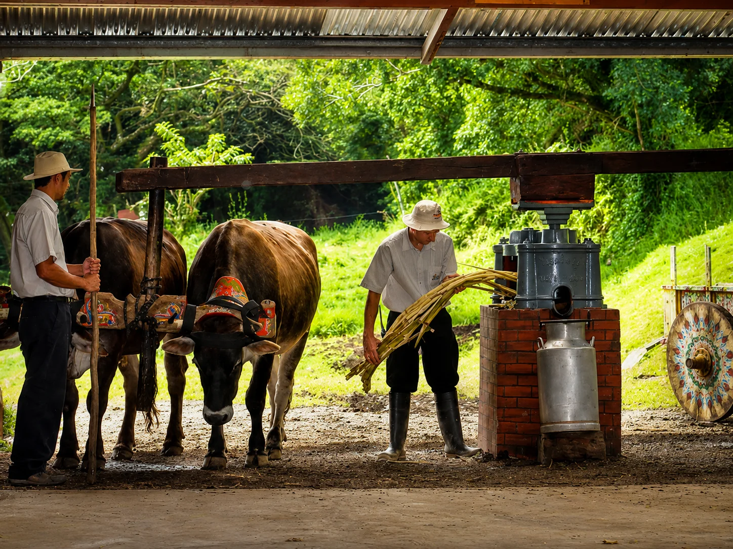 Monteverde Mixed Adventures Private Luxury Package