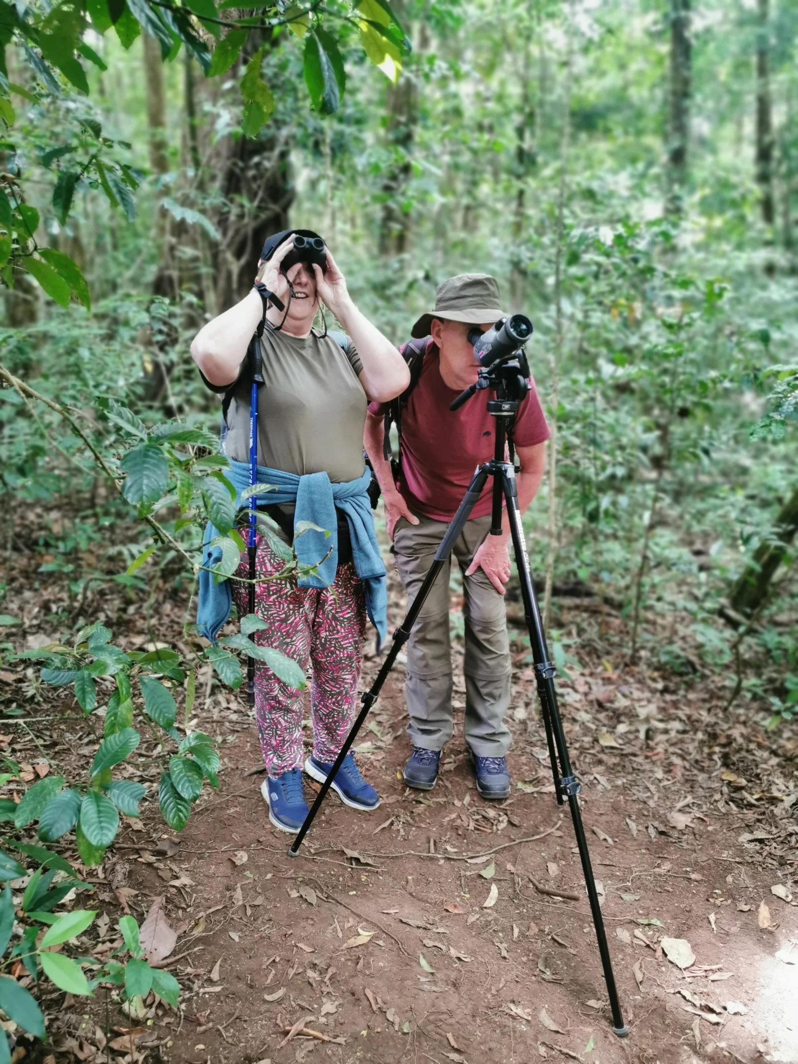 Monteverde Specialist Birdwatching Tour: Search for the Quetzal