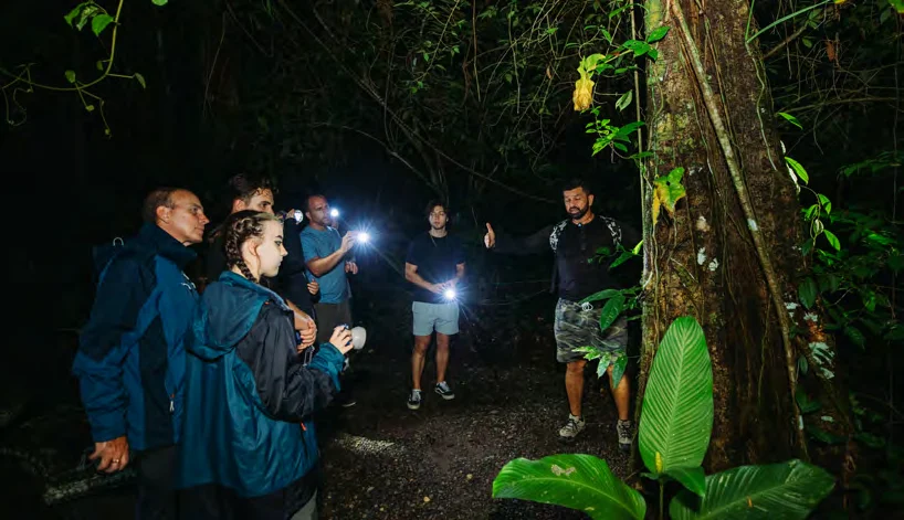 Rainforest Night Walk in Manuel Antonio