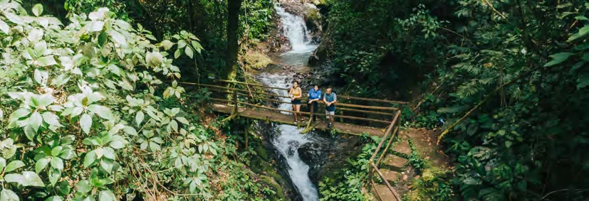 Rainmaker Conservation Park Hike & Hanging Bridges